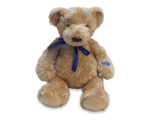 Arthur Musical Teddy Bear