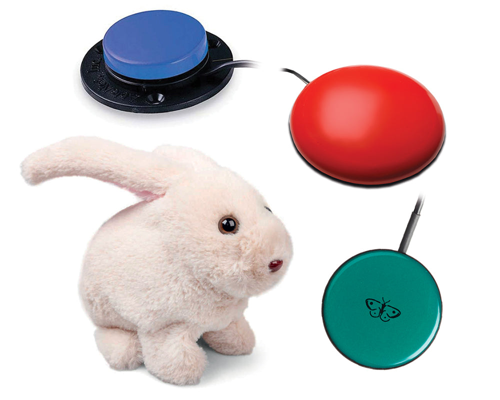 Back to School Essentials/Ready-Made Bundles