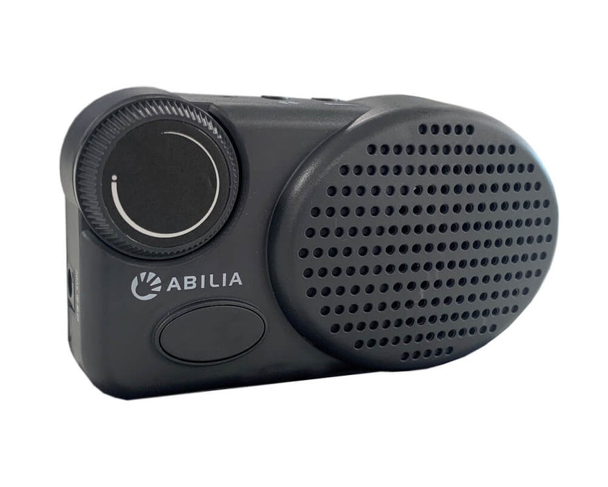Micro Voice Amp