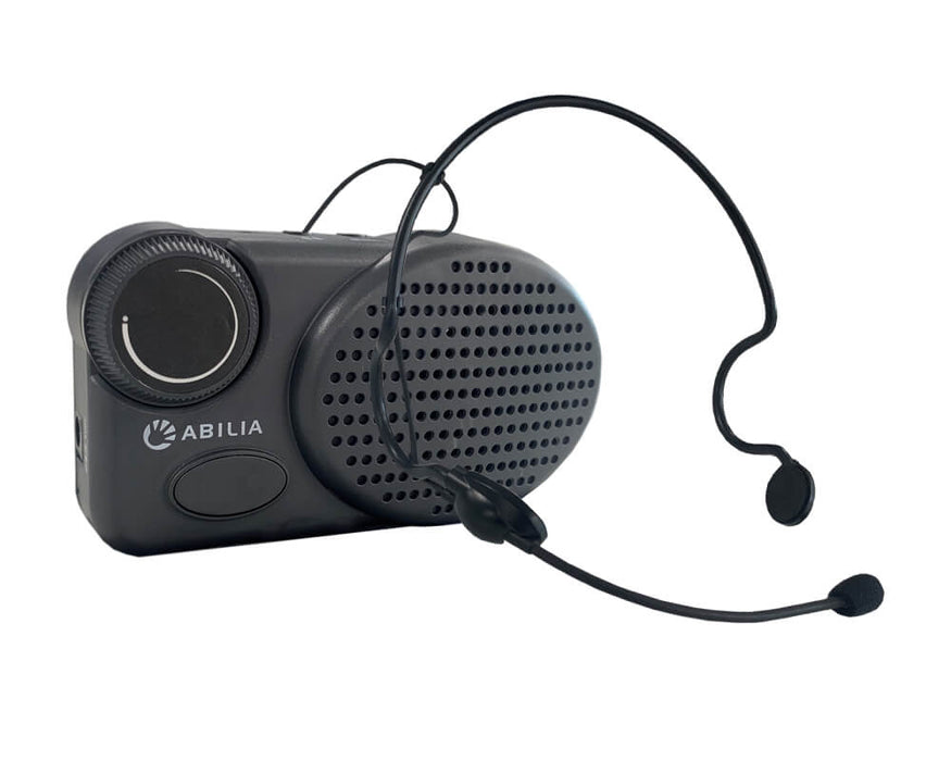 Micro Voice Amp