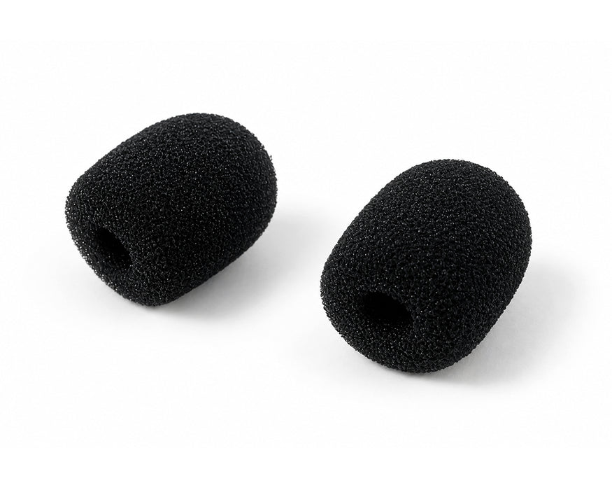 Micro Voice Amp