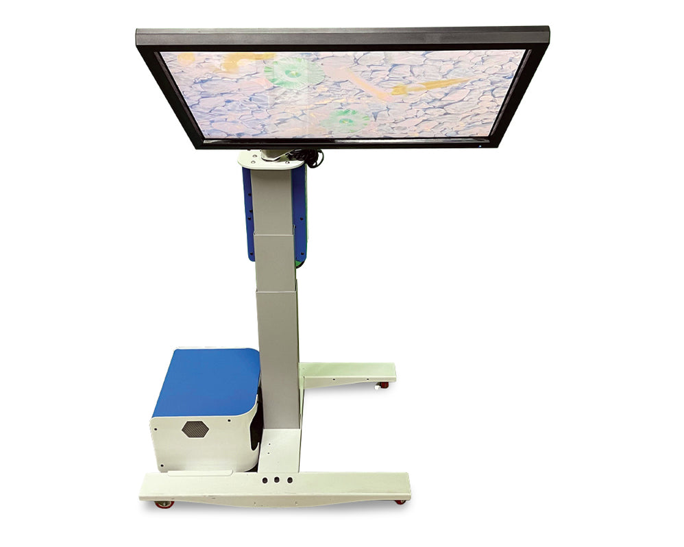 Serene - Inclusive Technology