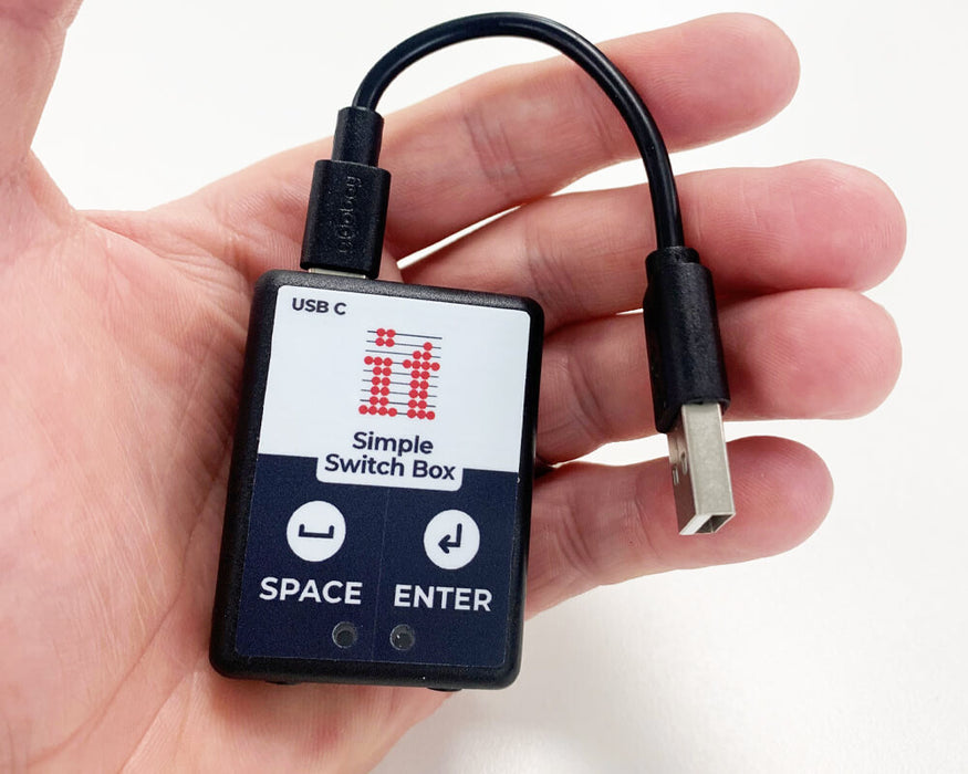 Inclusive Simple Switch Box