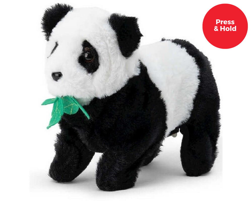 Switch Adapted Toy - Polly Panda - Inclusive Technology