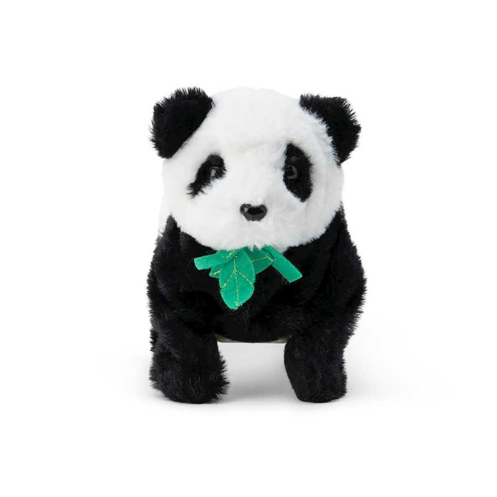 Switch Adapted Toy - Polly Panda - Inclusive Technology
