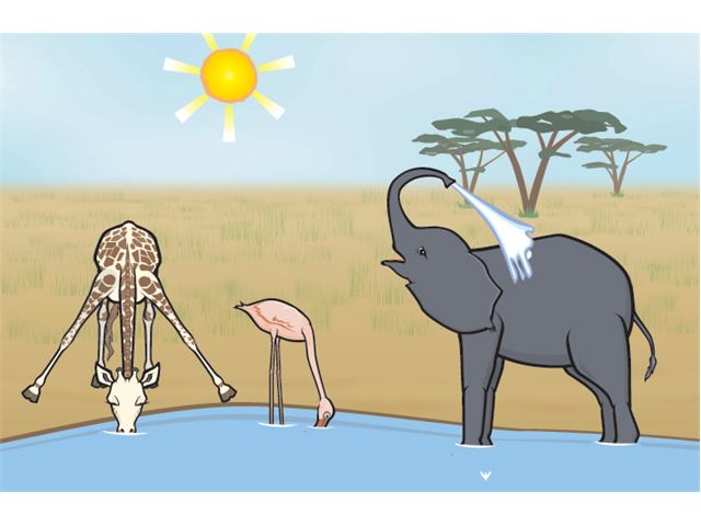 Switchit Software SwitchIt! Wildlife Extra - Inclusive Technology