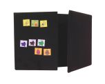 Portable Choice/Display Board