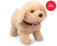 Switch Adapted Toy - Lucy the Dog